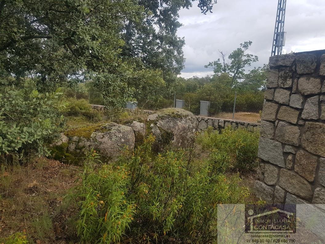 Venta de finca rústica en La Cabrera