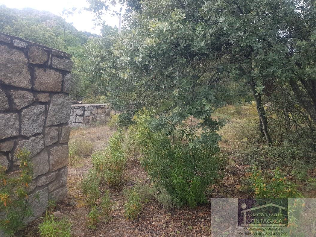 Venta de finca rústica en La Cabrera