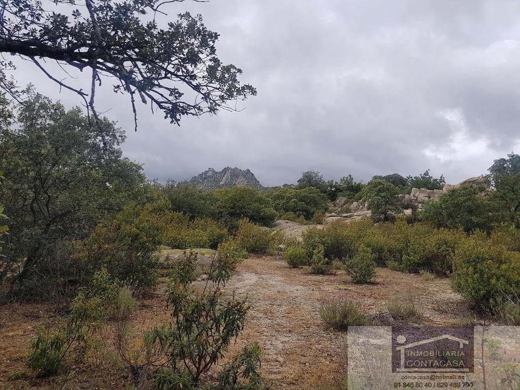 Venta de finca rústica en La Cabrera