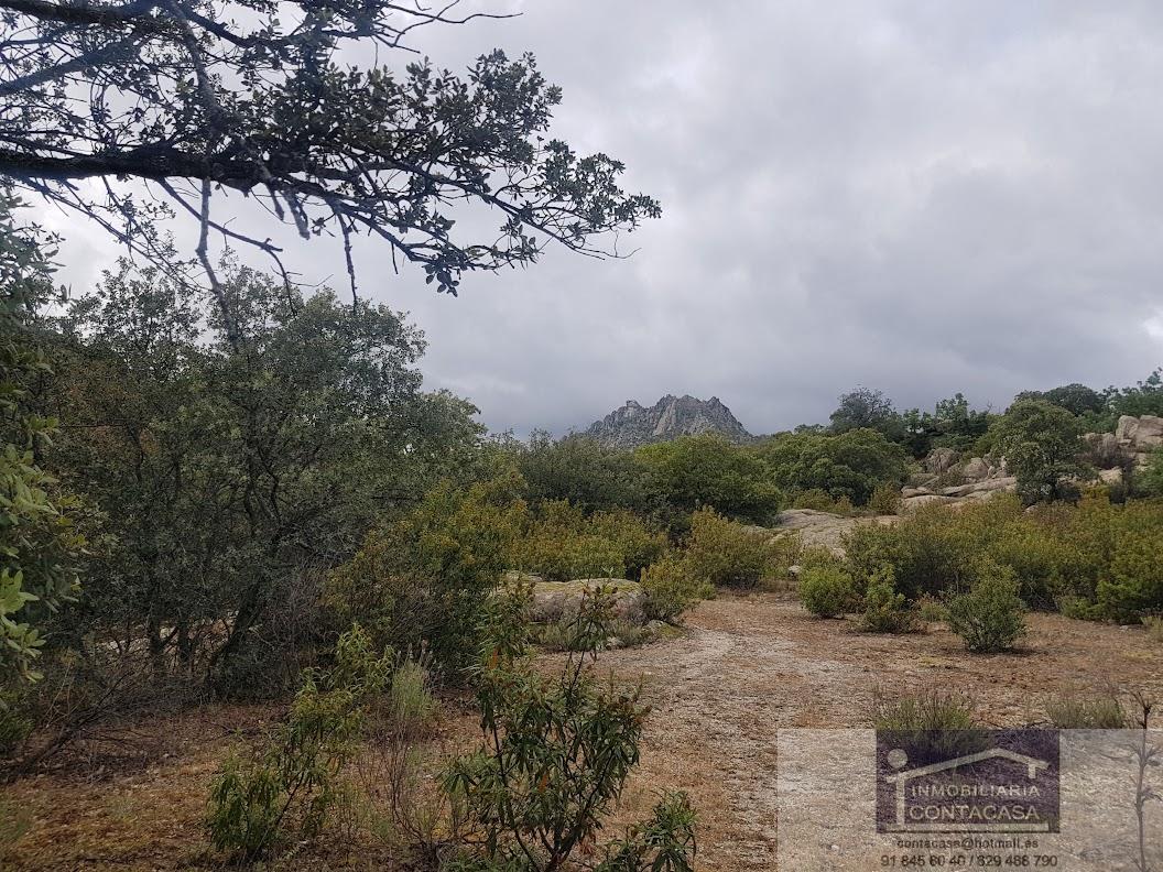 Venta de finca rústica en La Cabrera