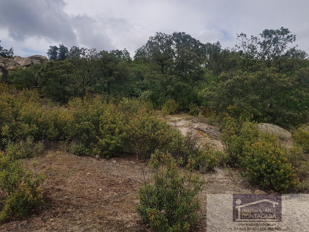 Venta de finca rústica en La Cabrera