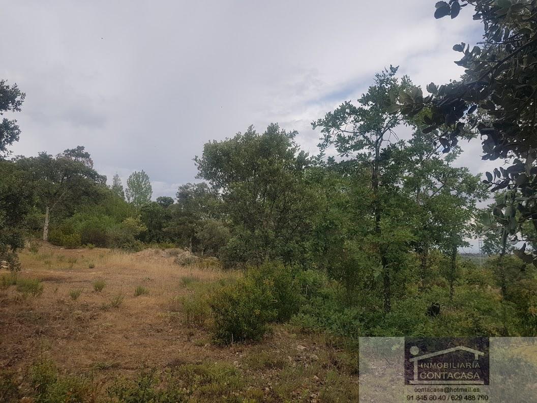 Venta de finca rústica en La Cabrera