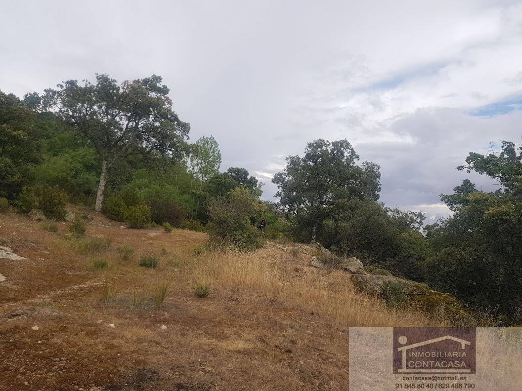Venta de finca rústica en La Cabrera