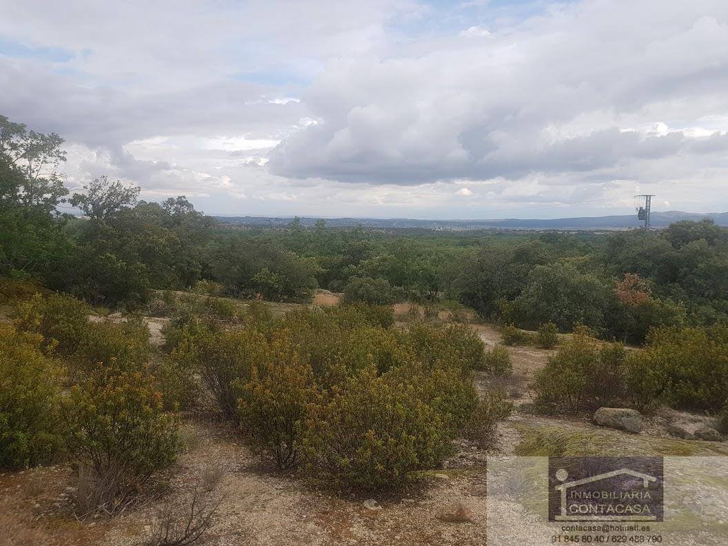 Venta de finca rústica en La Cabrera