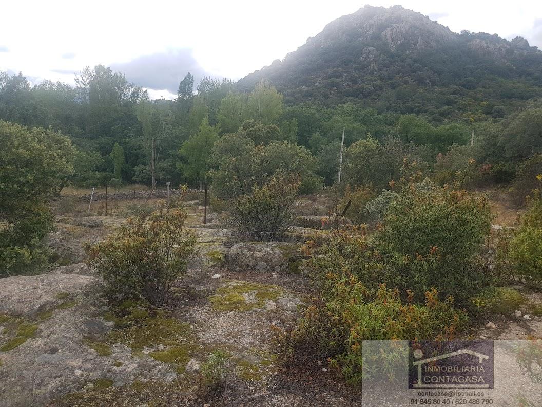 Venta de finca rústica en La Cabrera