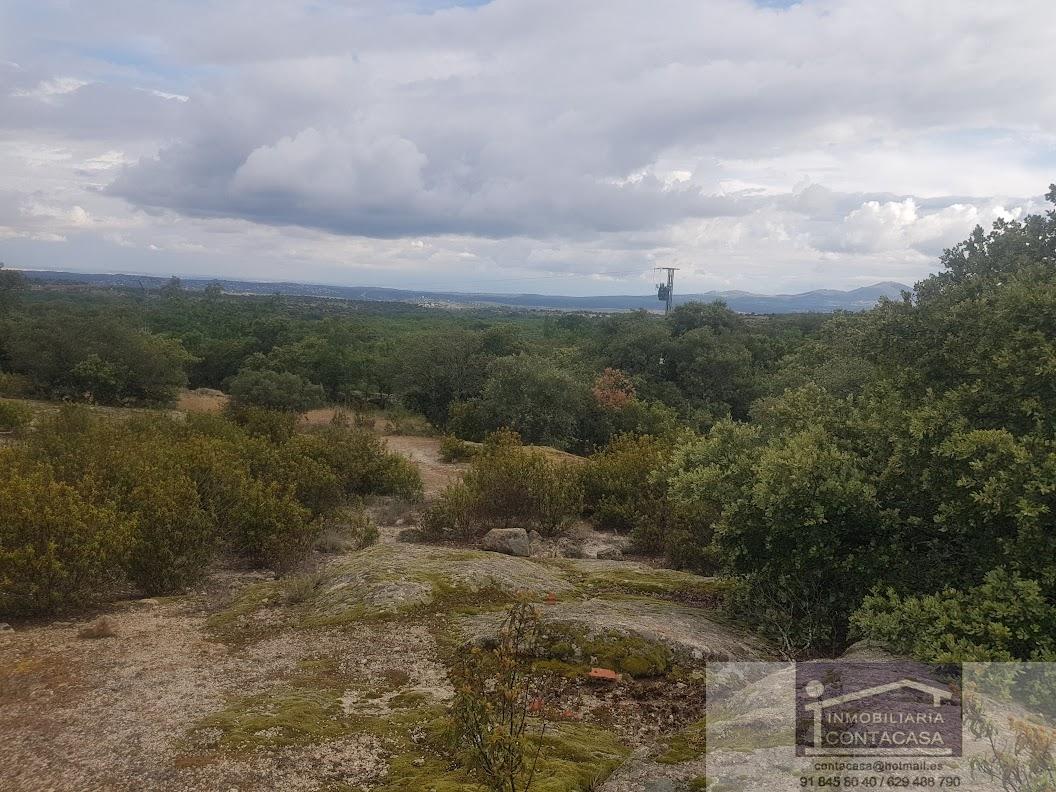Venta de finca rústica en La Cabrera
