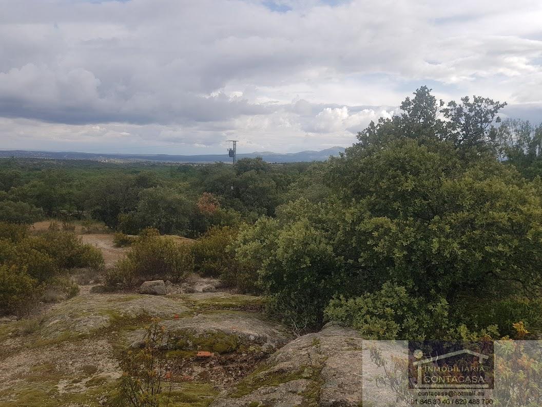 Venta de finca rústica en La Cabrera