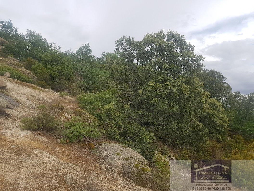 Venta de finca rústica en La Cabrera