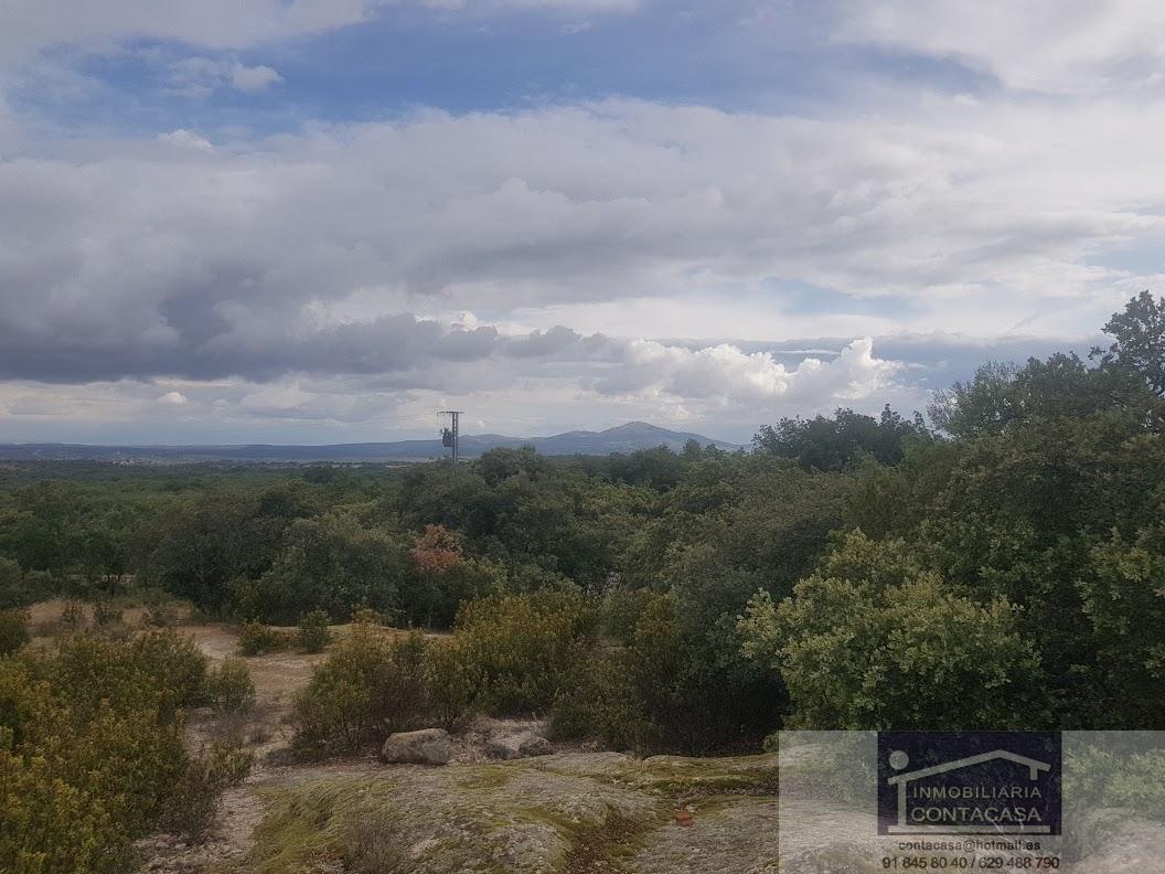 Venta de finca rústica en La Cabrera