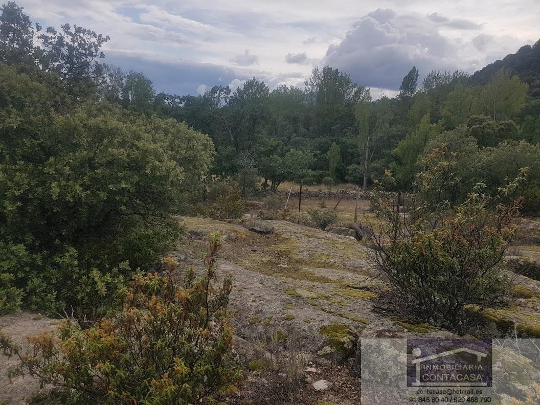 Venta de finca rústica en La Cabrera