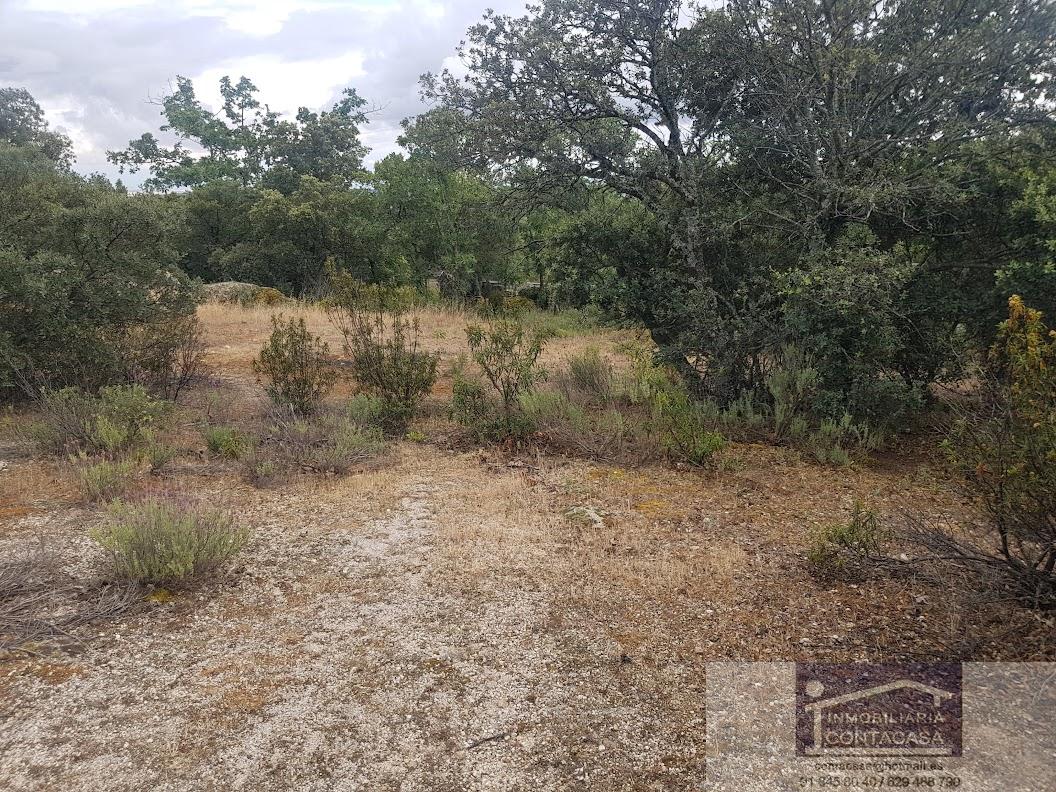 Venta de finca rústica en La Cabrera