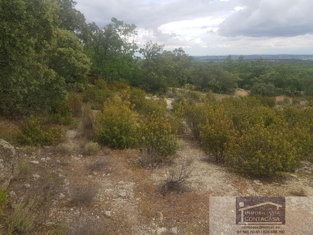 Venta de finca rústica en La Cabrera