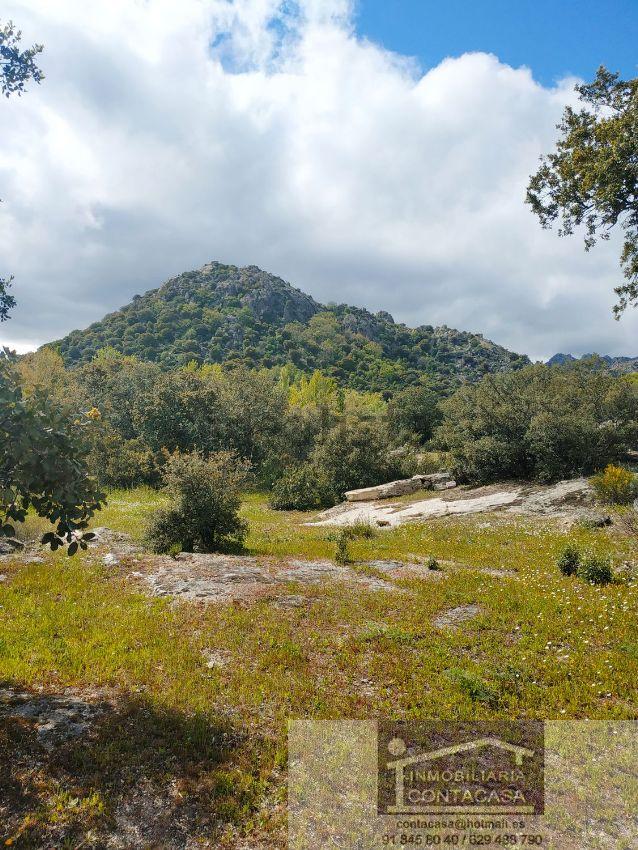 Venta de finca rústica en La Cabrera