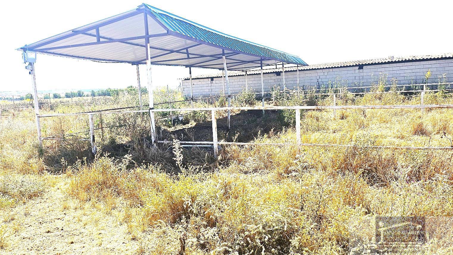 For sale of land in Talamanca de Jarama