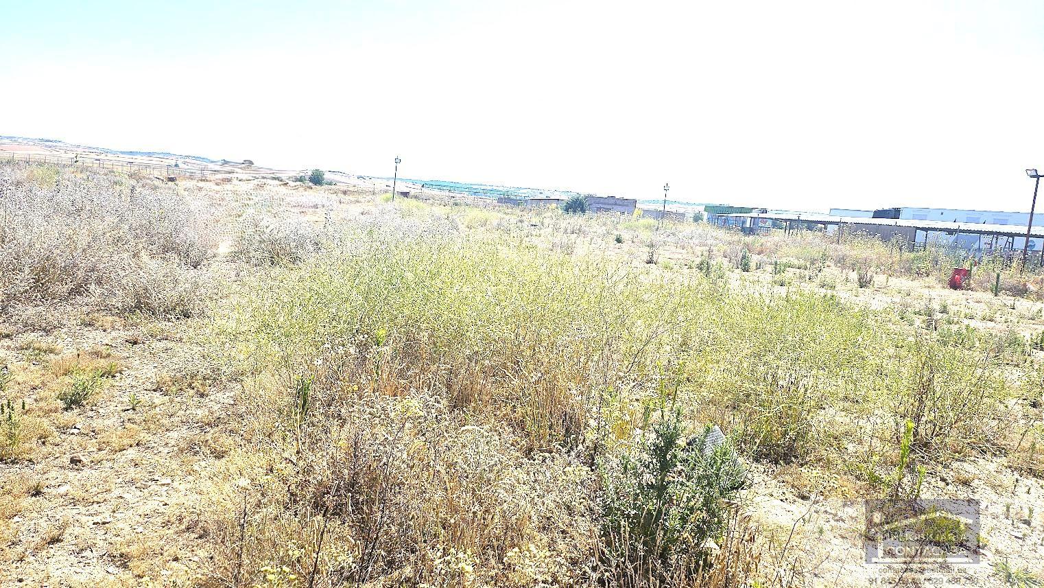 For sale of land in Talamanca de Jarama