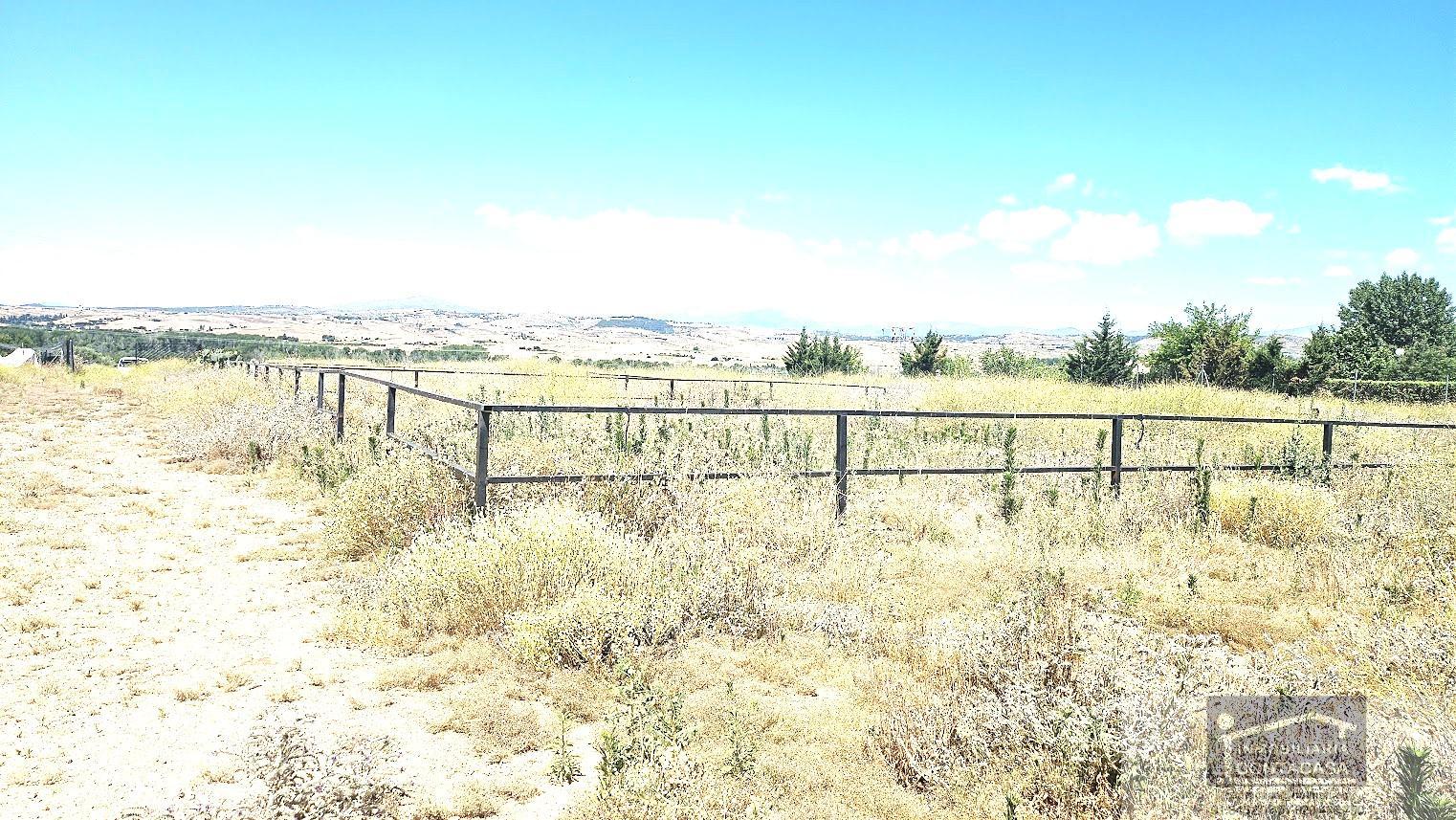 For sale of land in Talamanca de Jarama