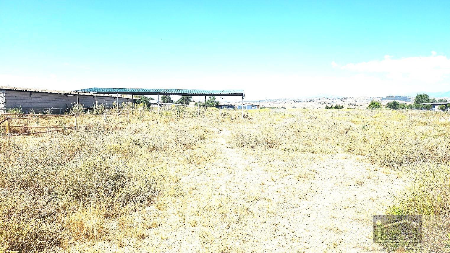 For sale of land in Talamanca de Jarama
