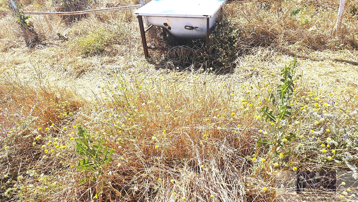 For sale of land in Talamanca de Jarama