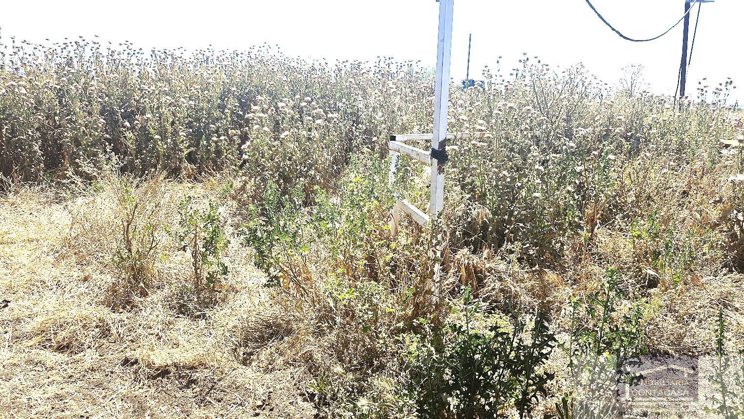 For sale of land in Talamanca de Jarama