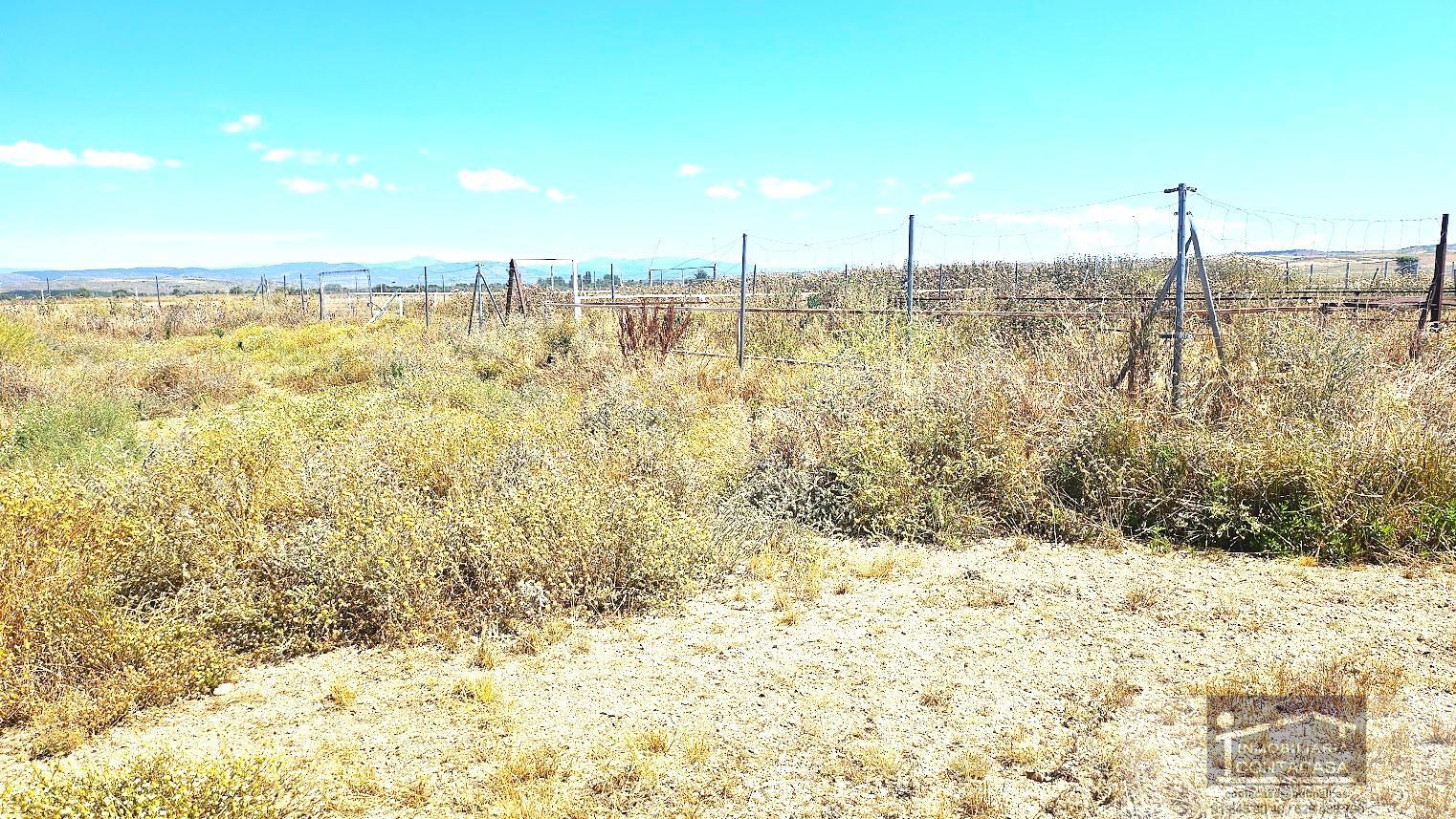 For sale of land in Talamanca de Jarama
