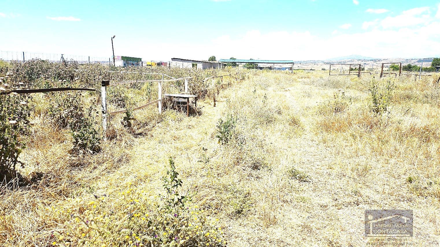 For sale of land in Talamanca de Jarama