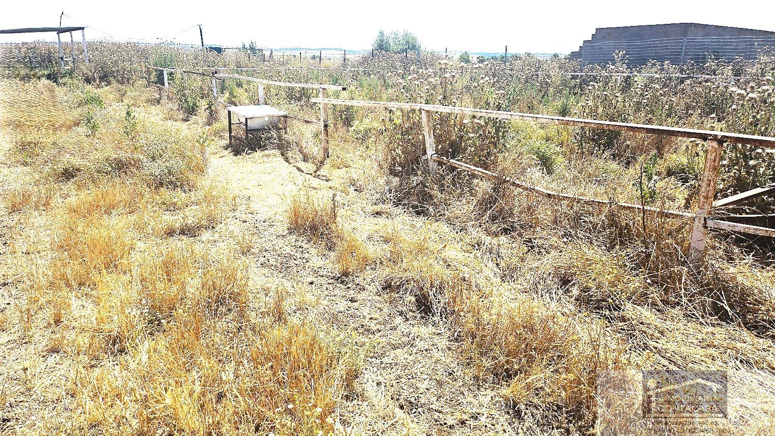 For sale of land in Talamanca de Jarama