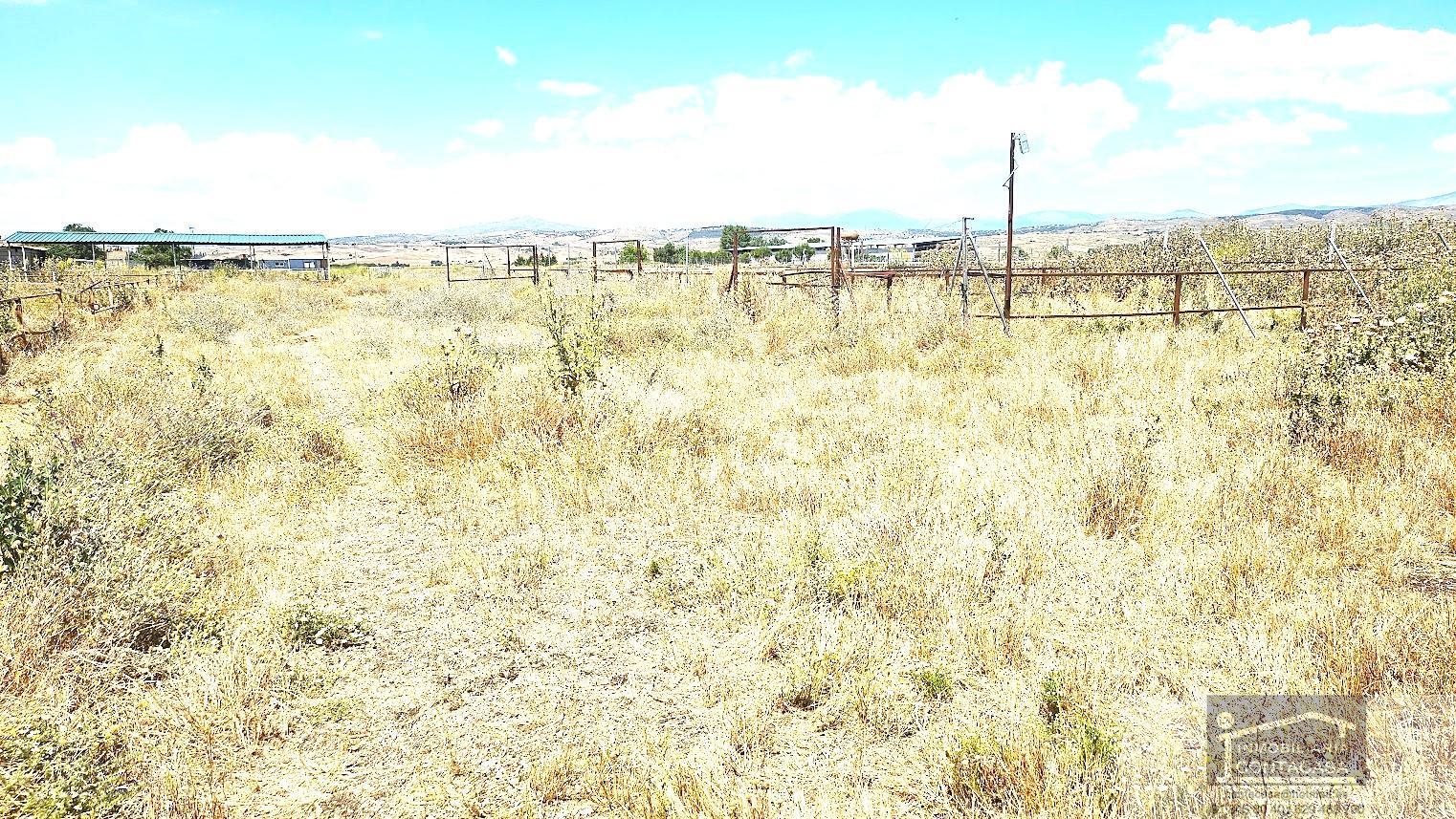 For sale of land in Talamanca de Jarama