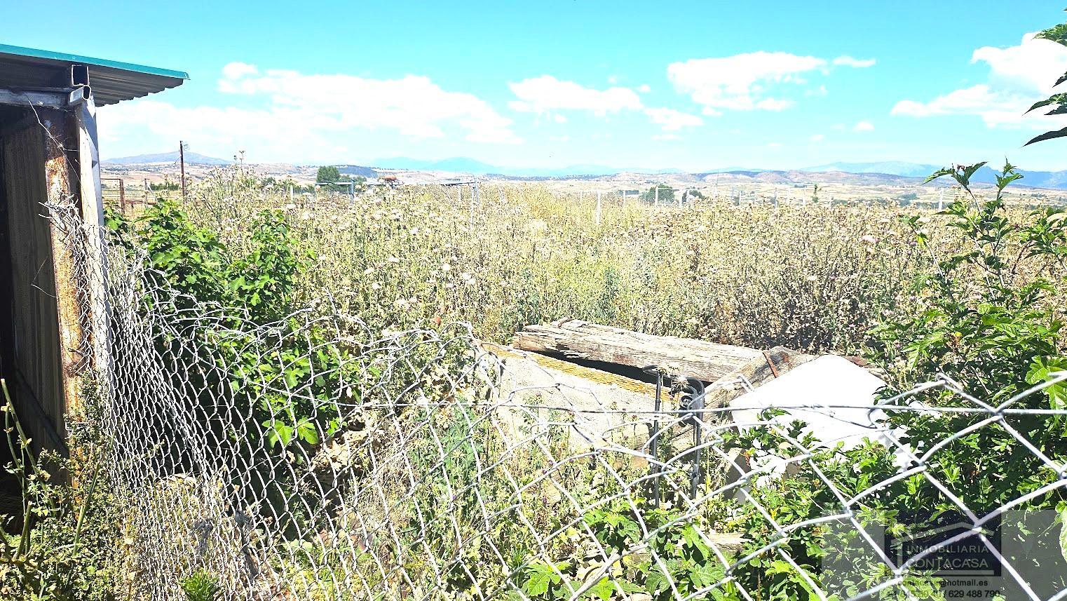 For sale of land in Talamanca de Jarama