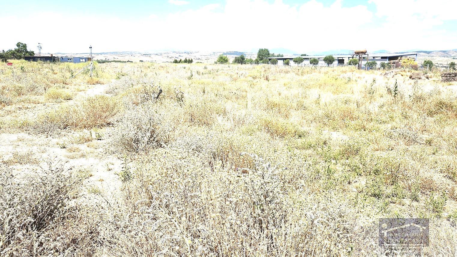 For sale of land in Talamanca de Jarama