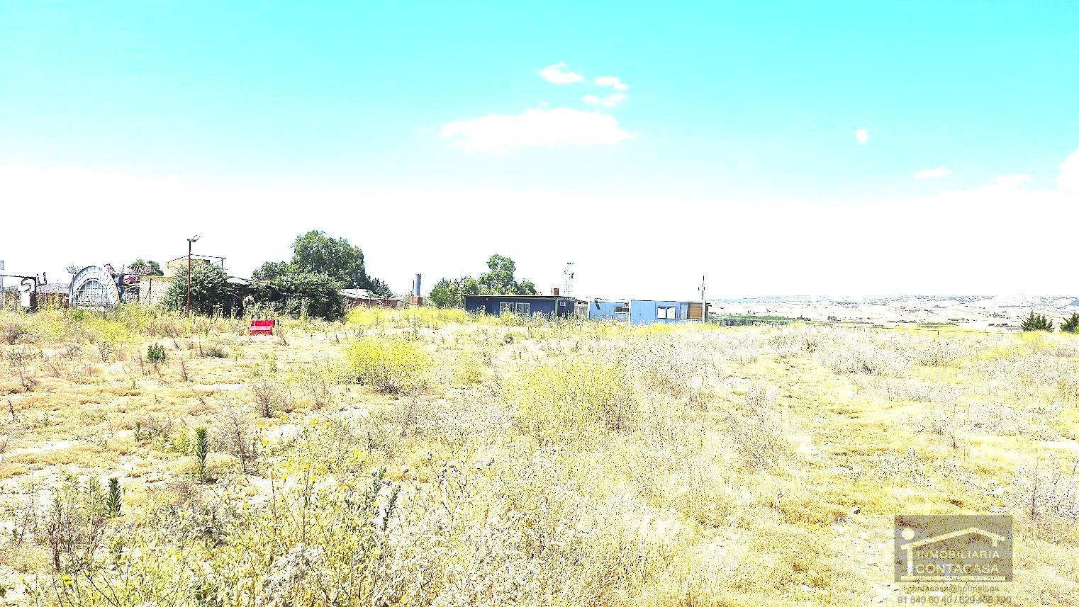 For sale of land in Talamanca de Jarama