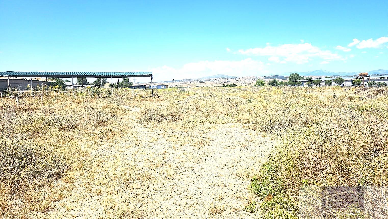 For sale of land in Talamanca de Jarama