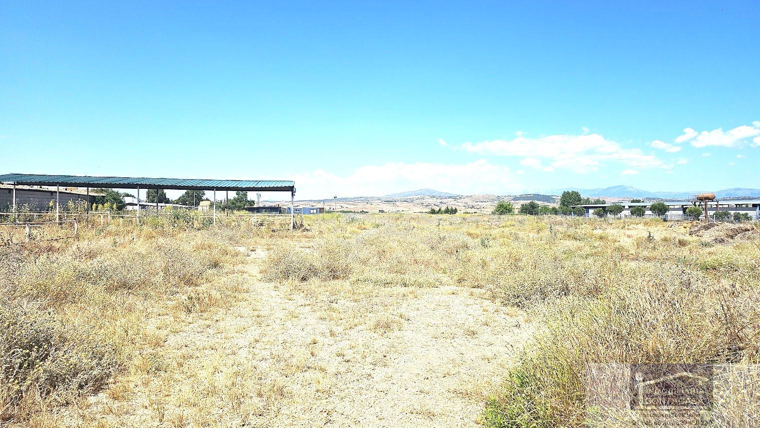 For sale of land in Talamanca de Jarama