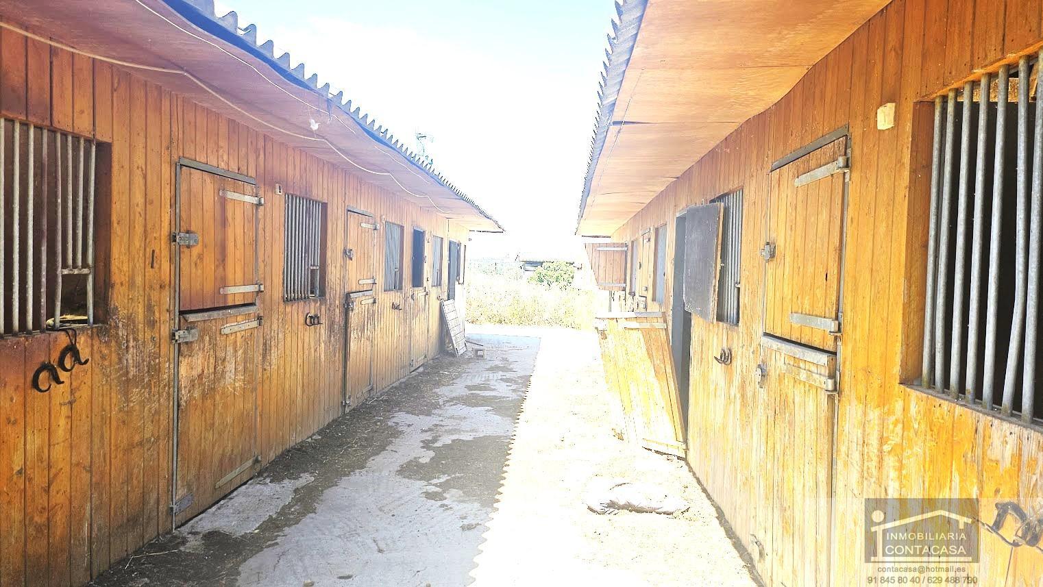 For sale of land in Talamanca de Jarama