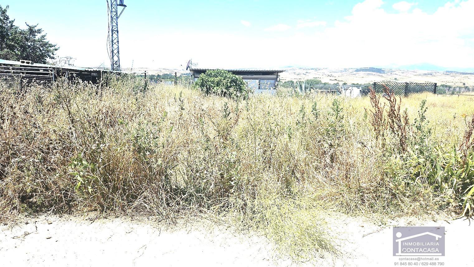 For sale of land in Talamanca de Jarama