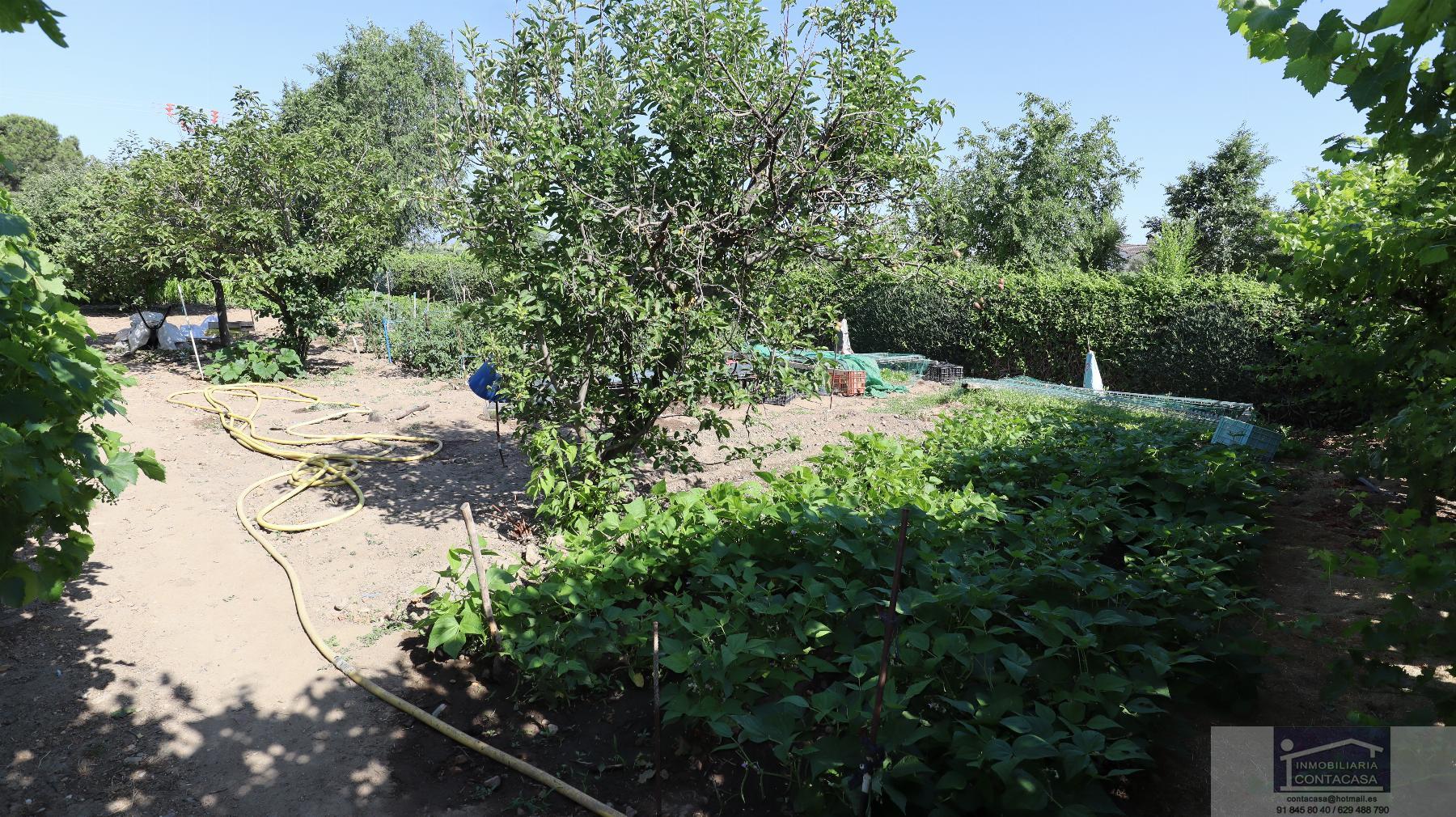Terreno