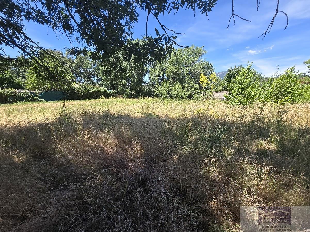Venta de finca rústica en Miraflores de la Sierra