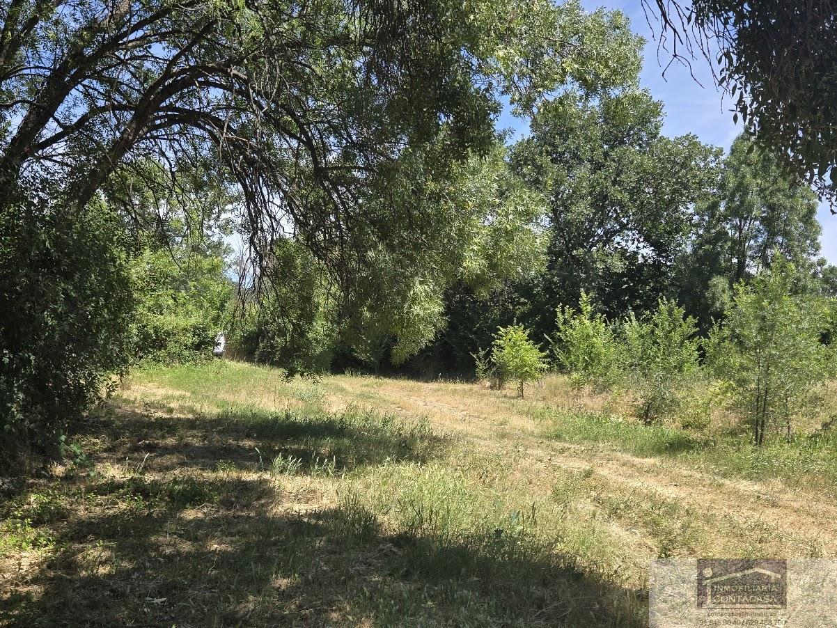 Venta de finca rústica en Miraflores de la Sierra