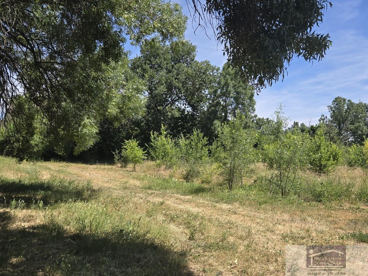 Venta de finca rústica en Miraflores de la Sierra