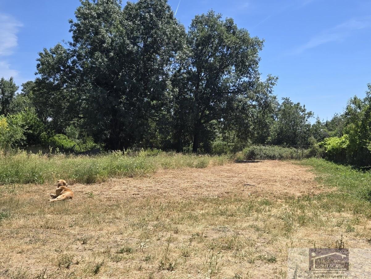 Venta de finca rústica en Miraflores de la Sierra