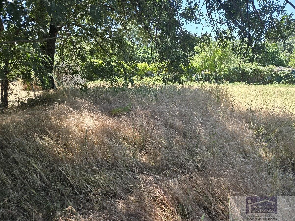 Venta de finca rústica en Miraflores de la Sierra