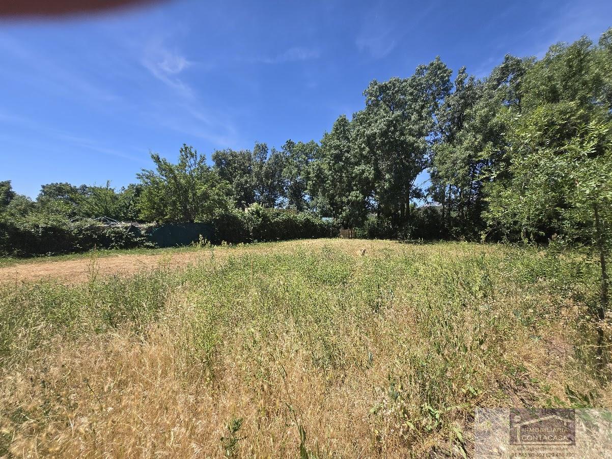 Venta de finca rústica en Miraflores de la Sierra