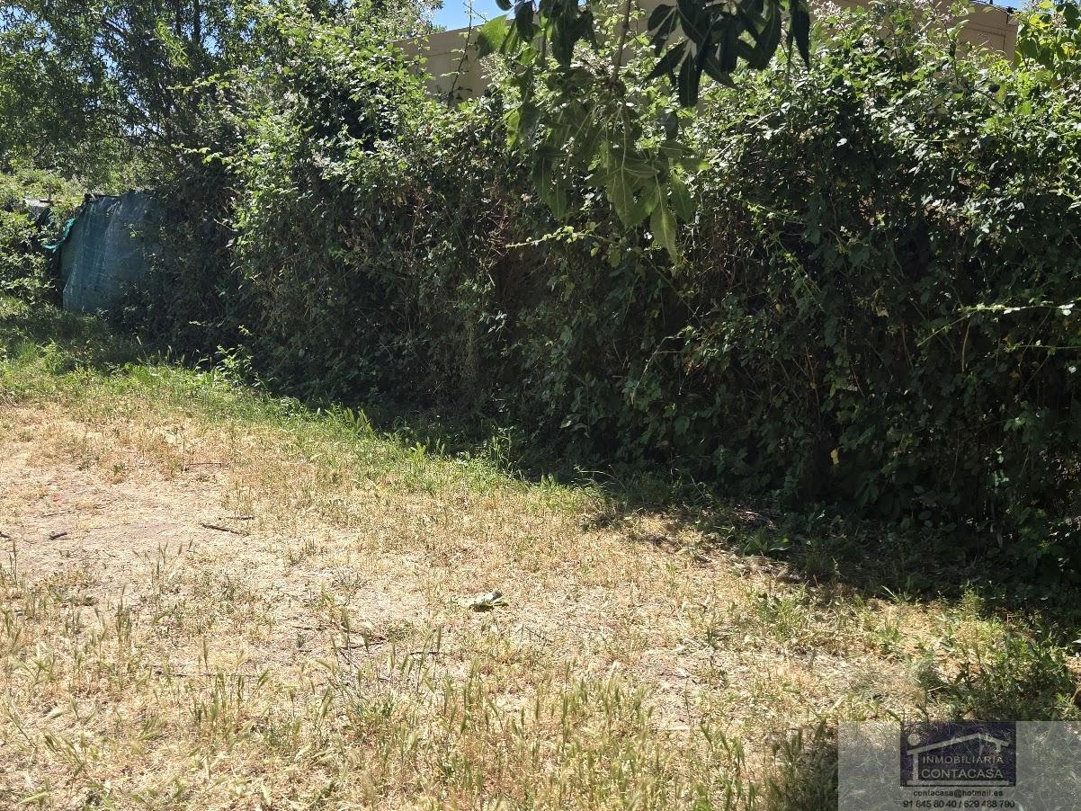 Venta de finca rústica en Miraflores de la Sierra