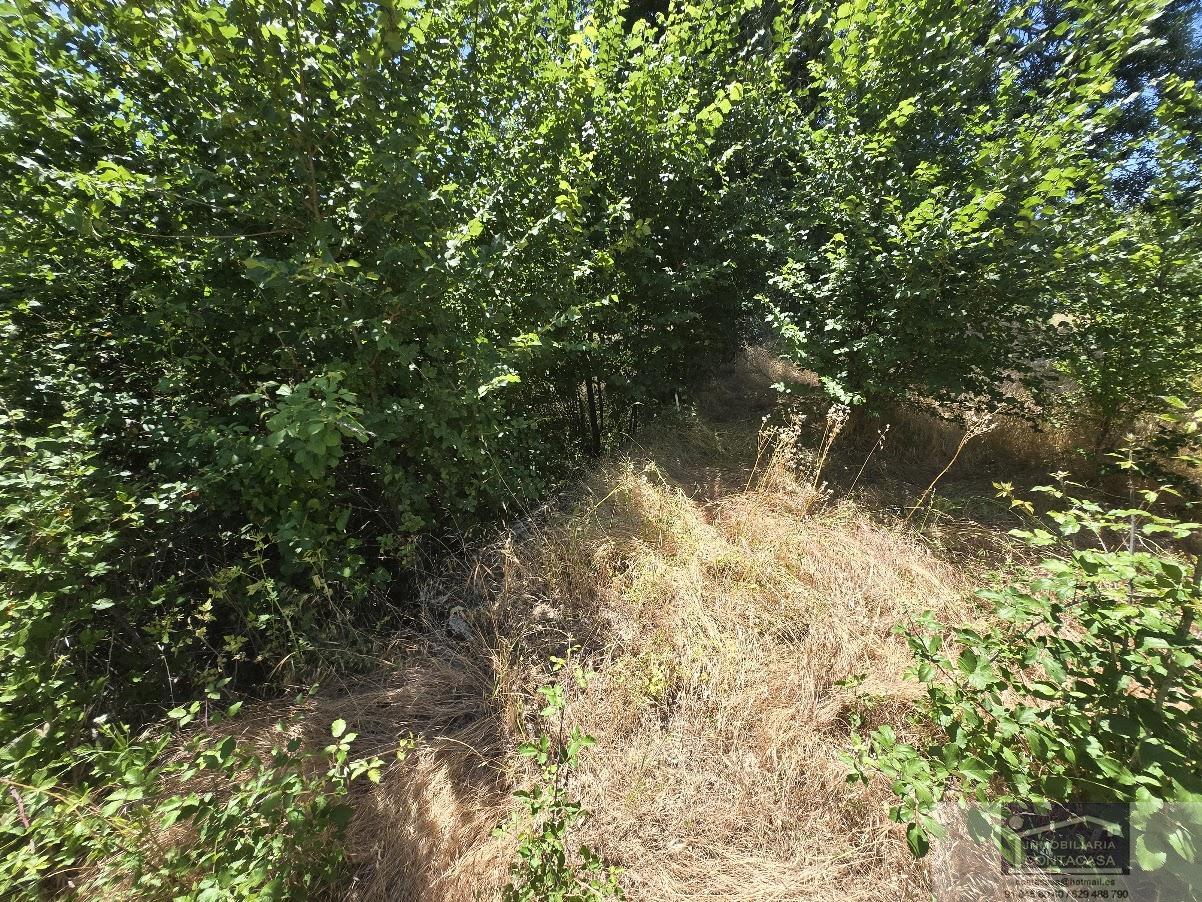 Venta de finca rústica en Miraflores de la Sierra