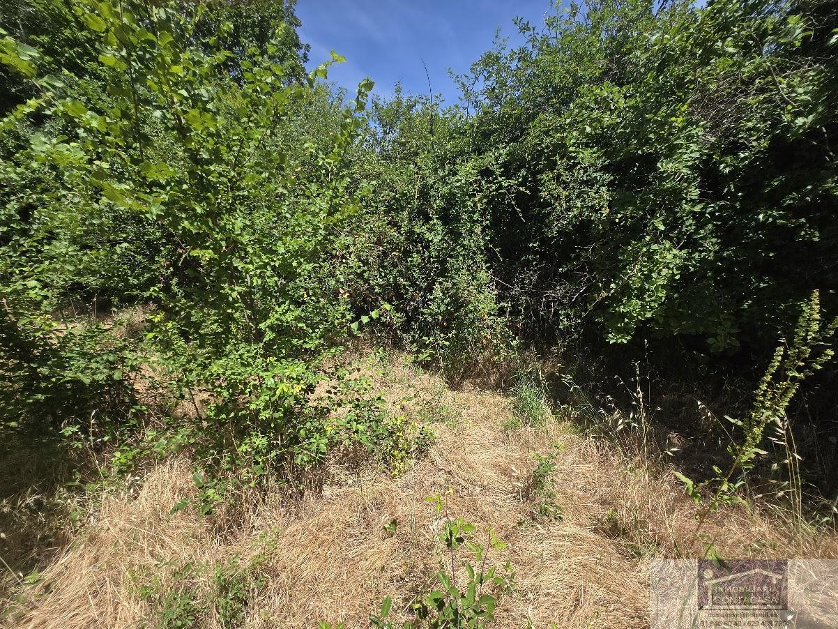 Venta de finca rústica en Miraflores de la Sierra