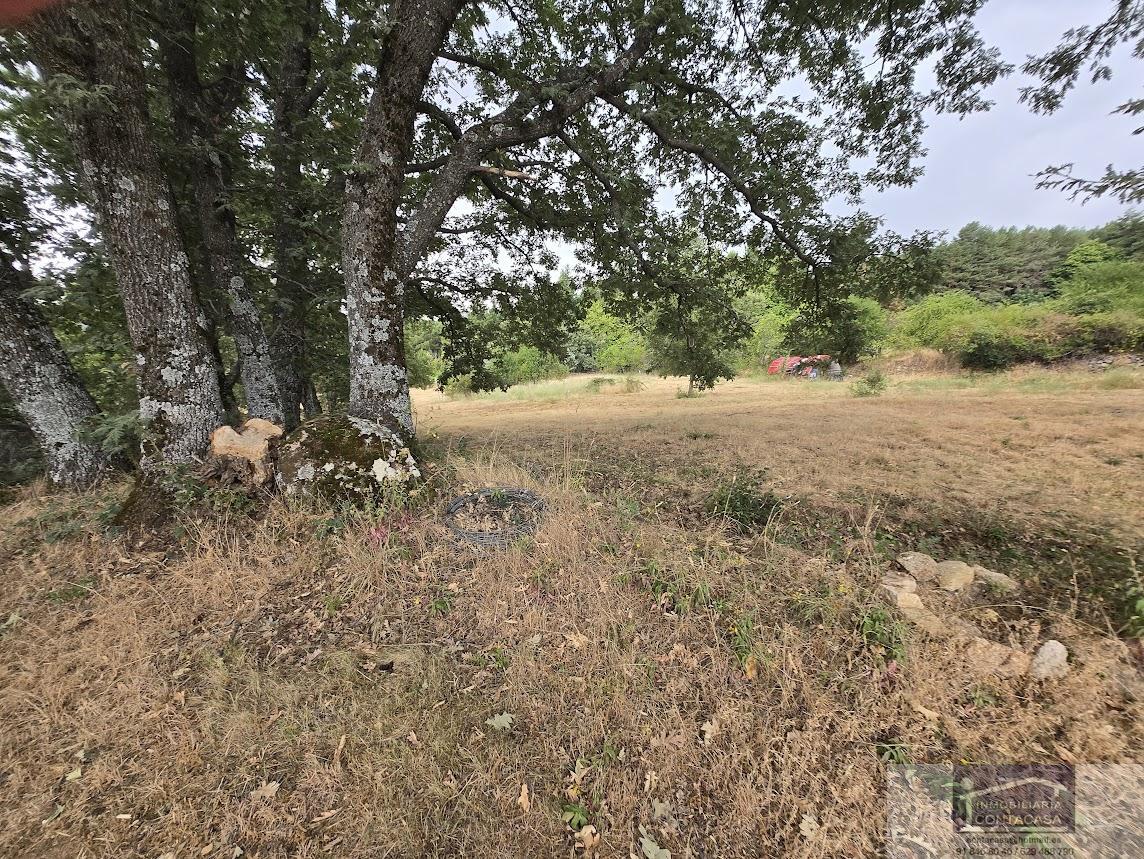 Venta de casa en Colmenar Viejo