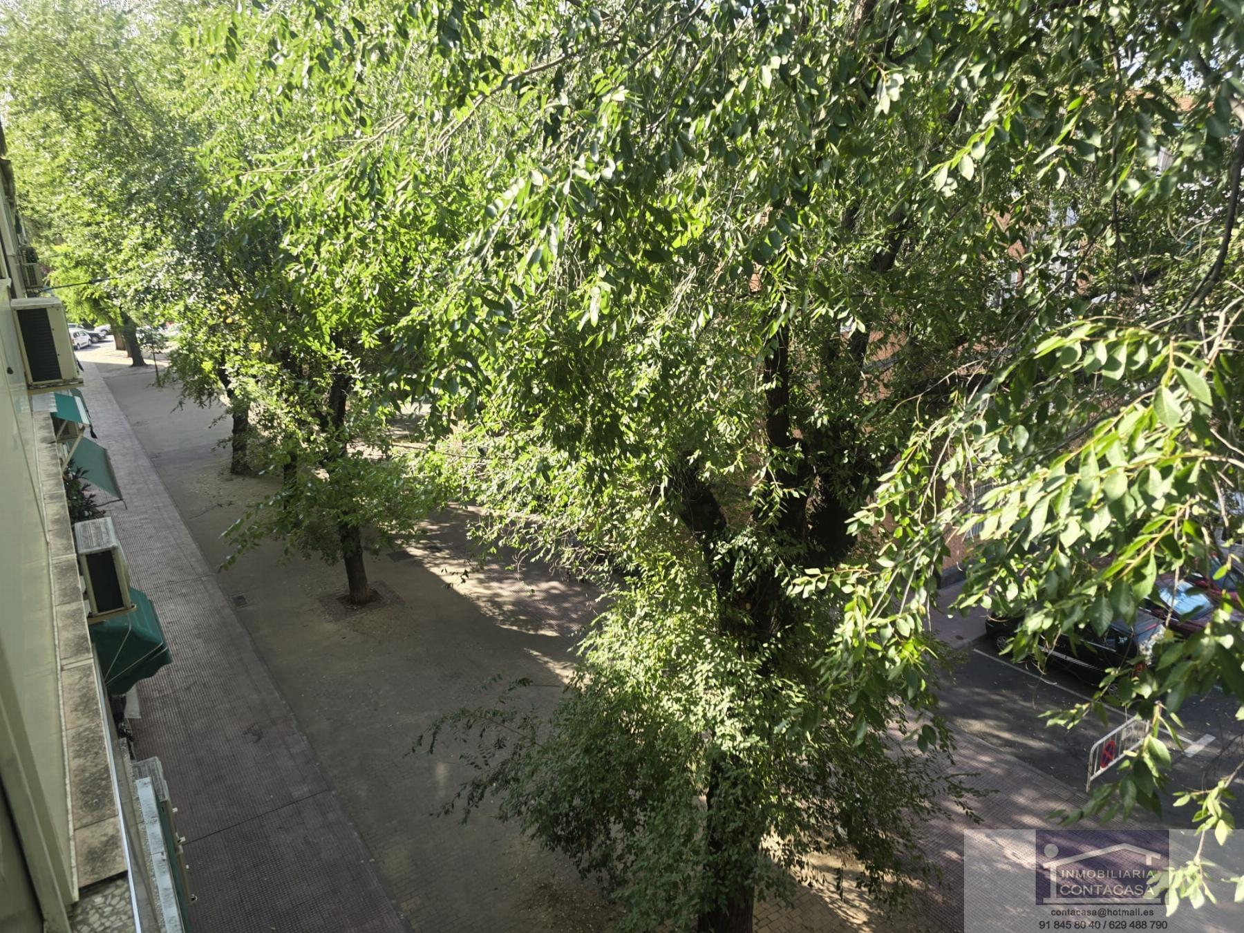 Vistas