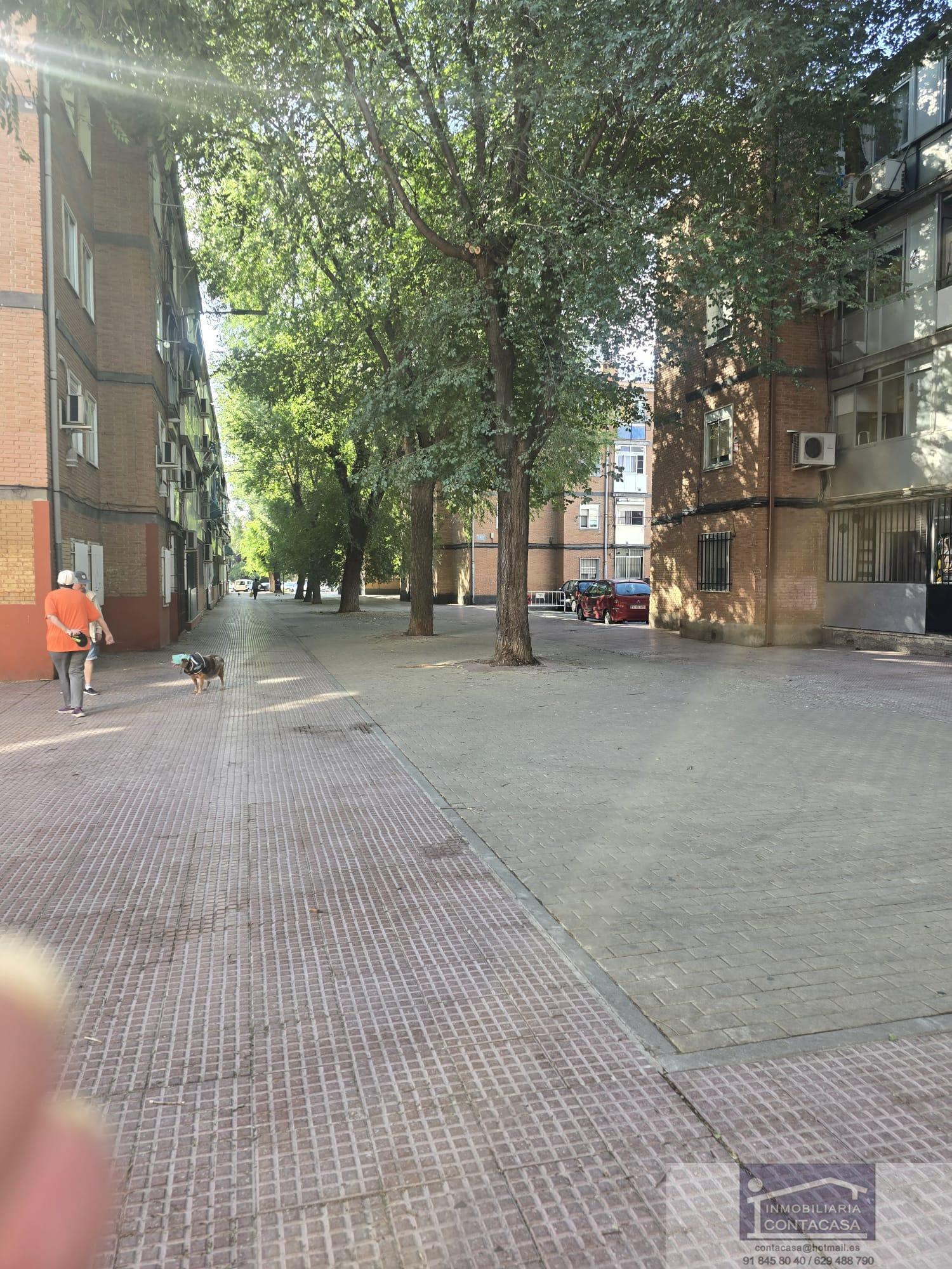 Alrededores