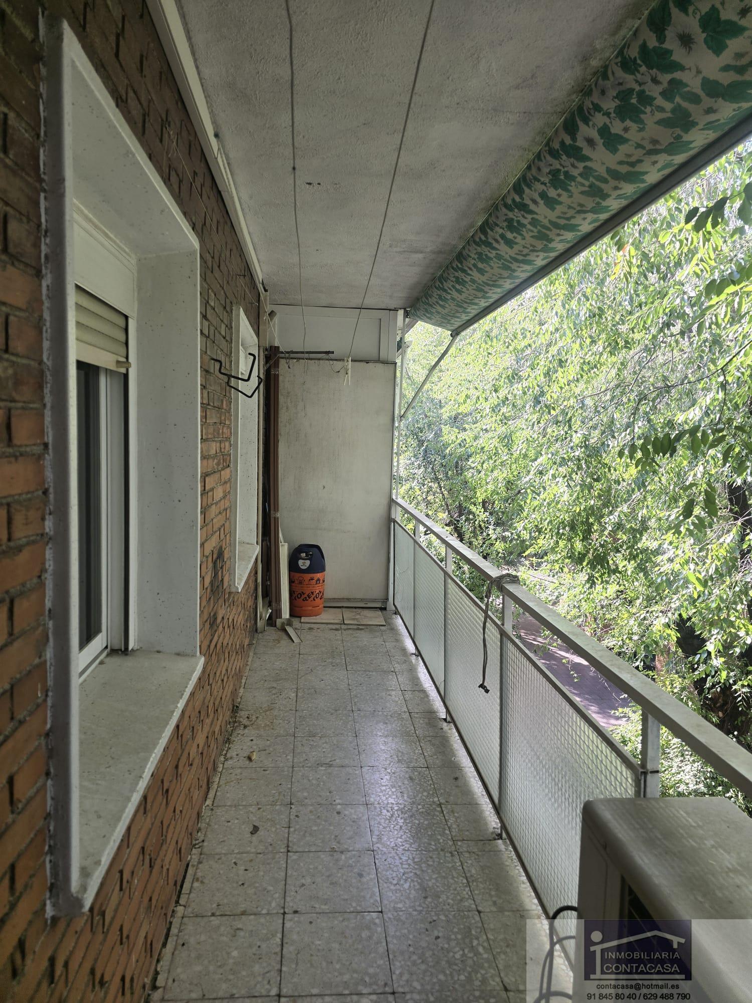 Terraza