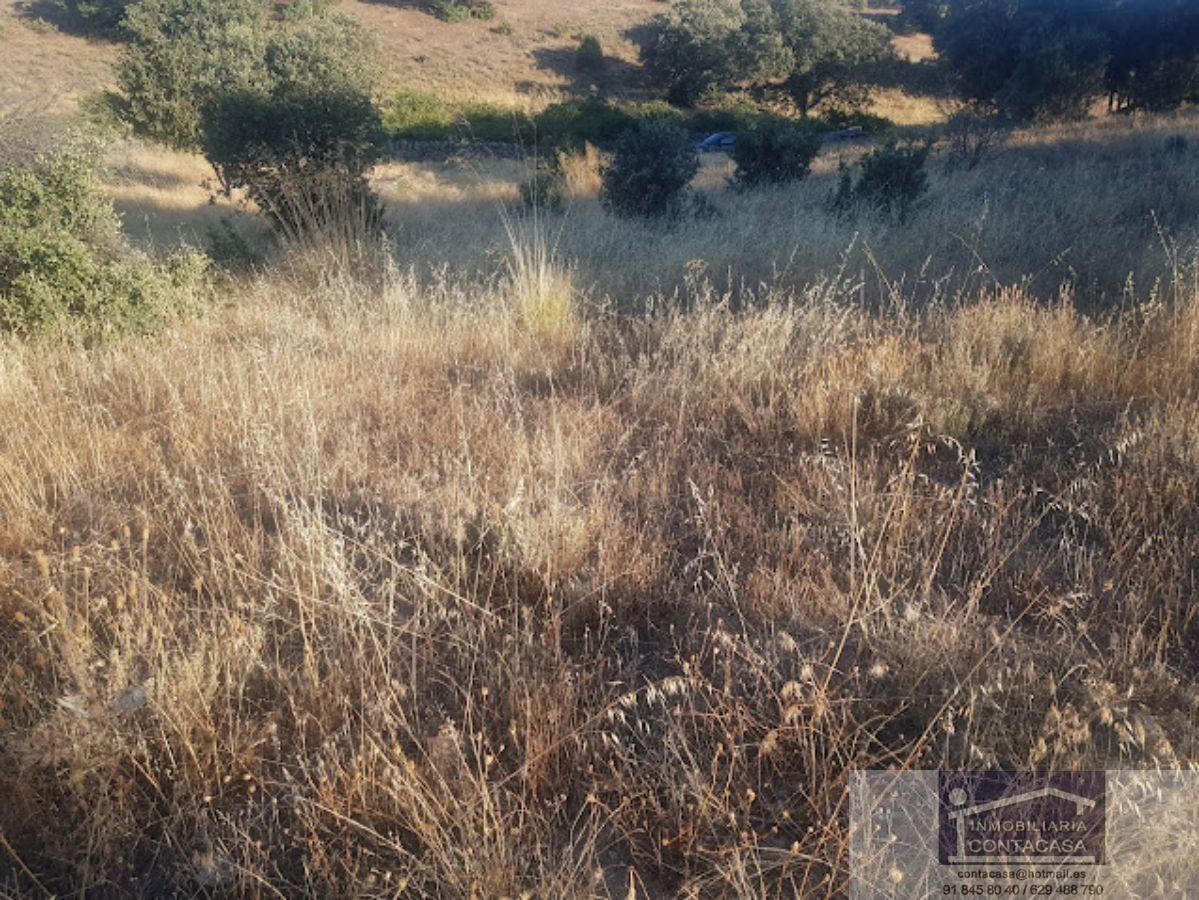 For sale of rural property in Colmenar Viejo