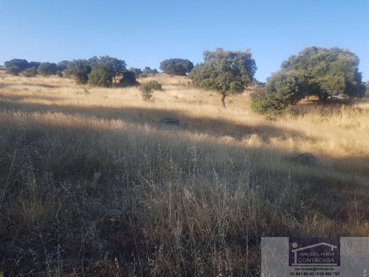 For sale of rural property in Colmenar Viejo
